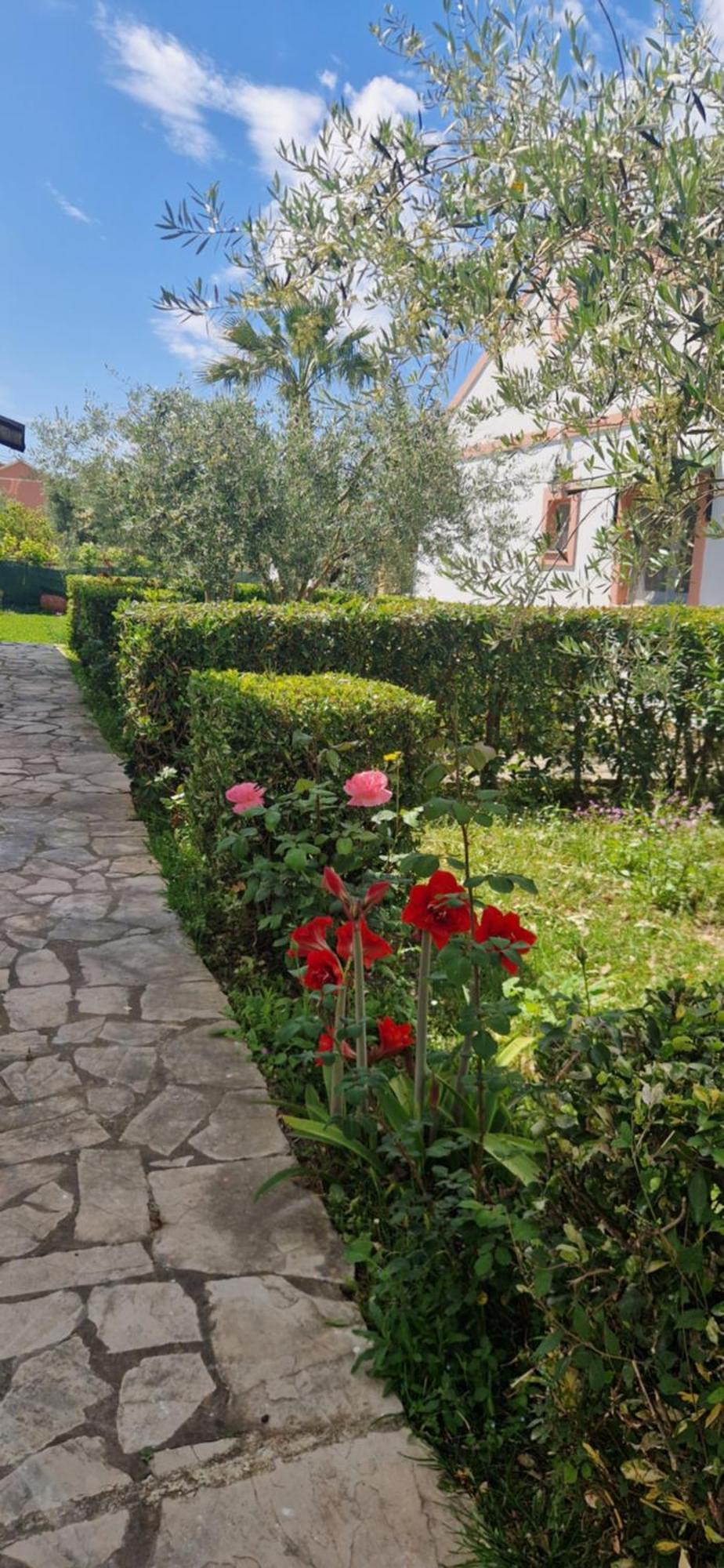 Corfu Studio 4U Róda Eksteriør bilde